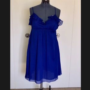 Blue Springtime Dress
